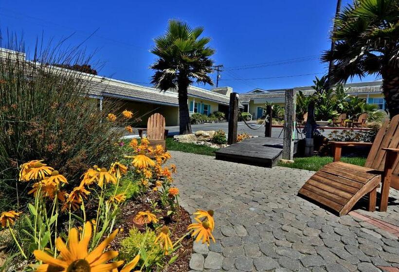 디럭스 스위트 킹 침대, Beach Bungalow Inn And Suites