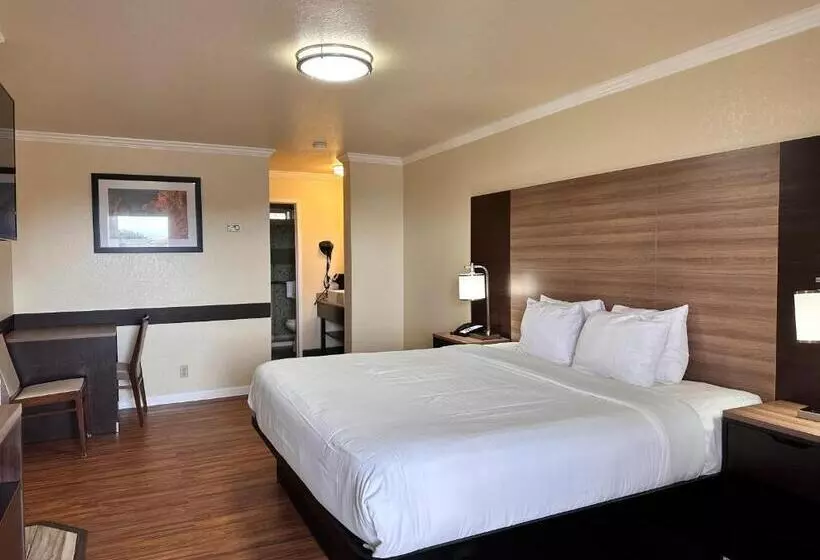 身障者適用キングサイズベッドルーム, Beachwalker Inn Cayucos