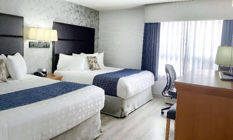 شقة غرفة واحدة, Best Western Plus Dutch Haus Inn And Suites