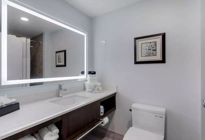 スイート, Comfort Suites Mt. Julietnashville Area
