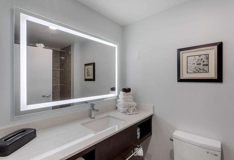 套房, Comfort Suites Mt. Julietnashville Area