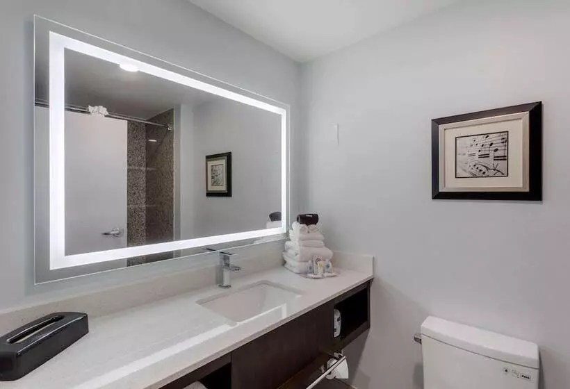 スイート, Comfort Suites Mt. Julietnashville Area