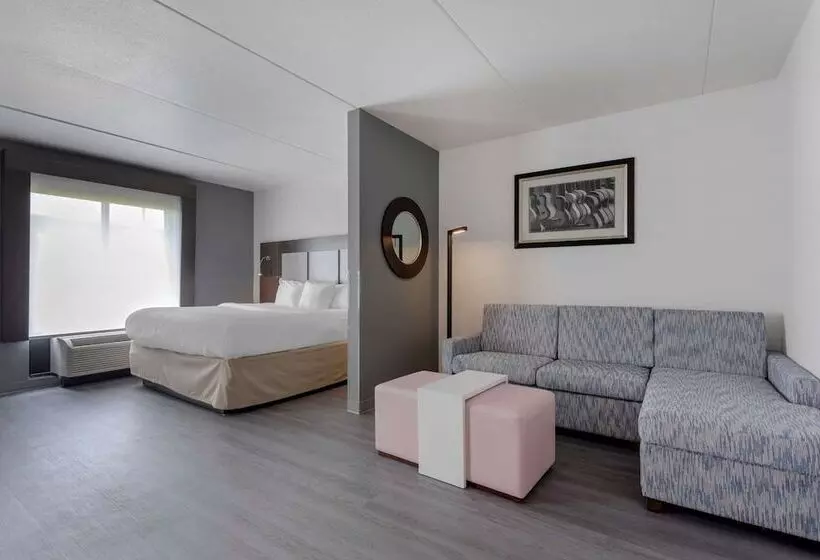 スイート, Comfort Suites Mt. Julietnashville Area