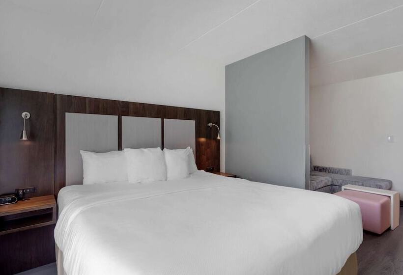 סוויטה, Comfort Suites Mt. Julietnashville Area