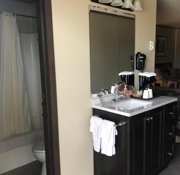 חדר סטנדרט עם מיטת קינג, Denali Park