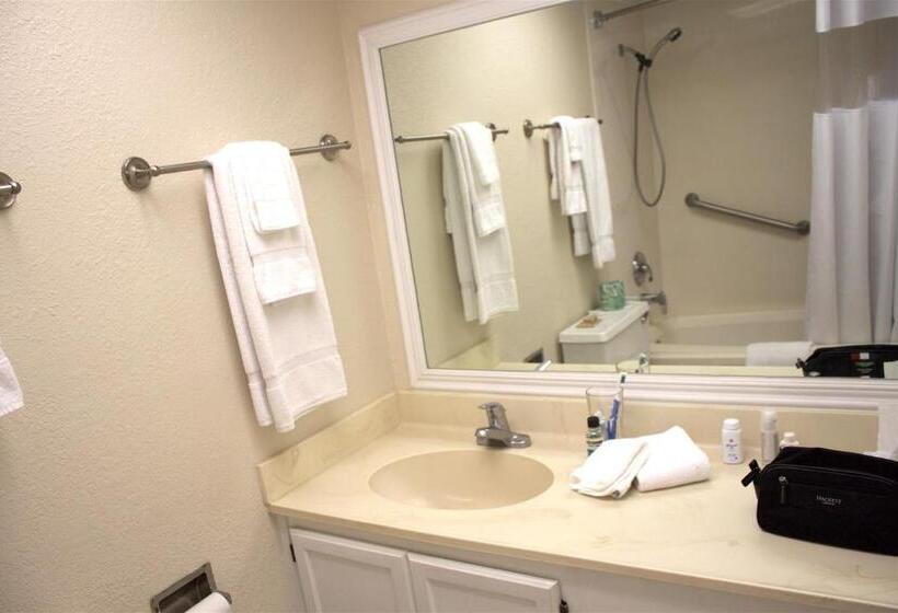 شقة غرفة واحدة ذات إطلالة, Marina Bay Resort