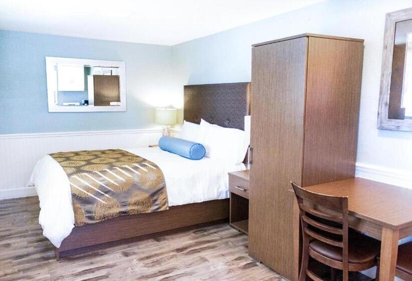 Номер Deluxe, Ocean Echo Inn & Beach Cottages