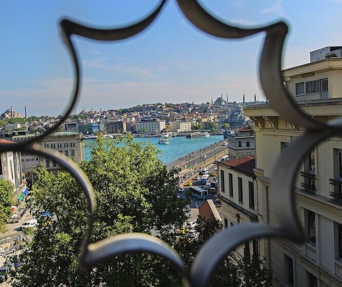 חדר דופלקס, The Purl Boutique