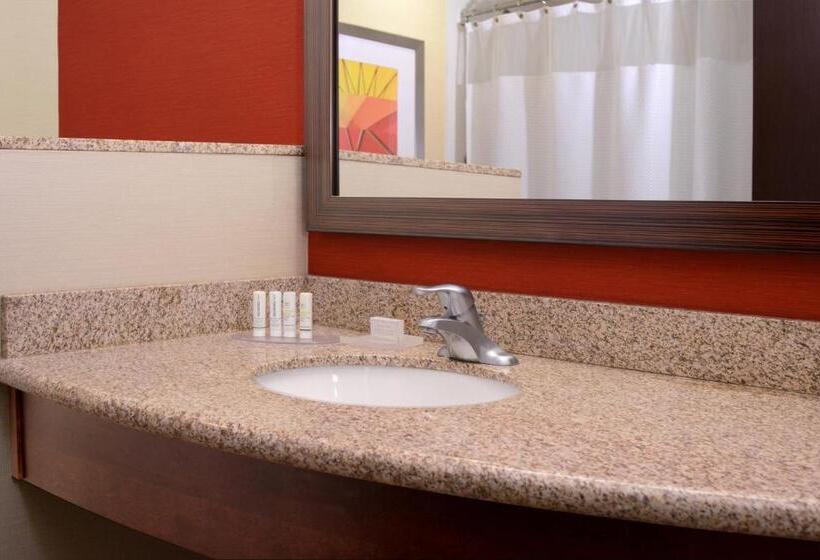 キングサイズベッドのスタンダードルーム, Courtyard By Marriott Galveston Island