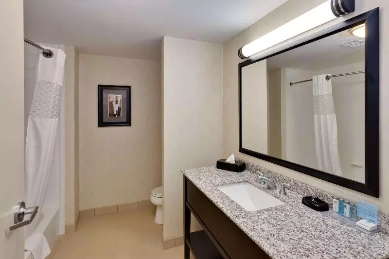 キングサイズベッドのスタンダードルーム, Hampton Inn Seneca Falls