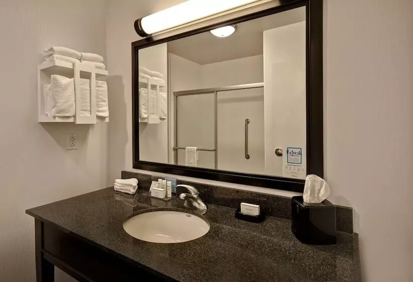 身障者適用スタンダードルーム, Hampton Inn & Suites Columbia South Fort Meade Area