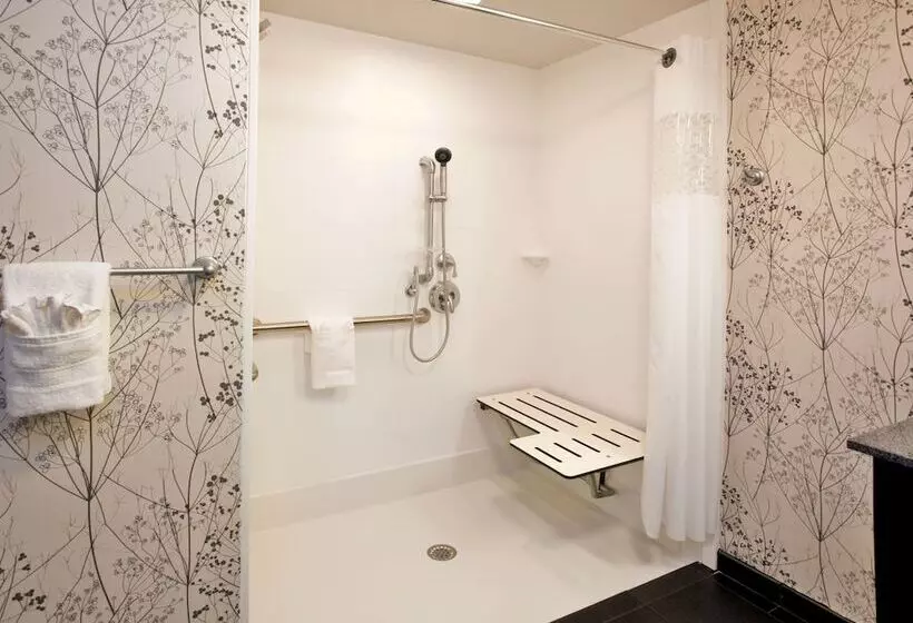 身障者適用スタンダードルーム, Hampton Inn & Suites Columbia South Fort Meade Area