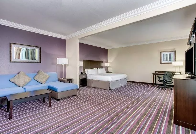 身障者適用スイートルーム, Holiday Inn Express & Suites Raceland   Highway 90, An Ihg