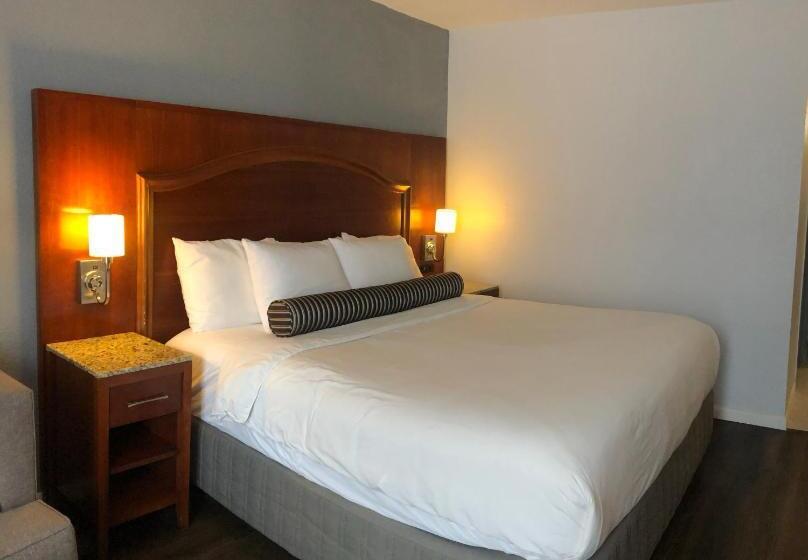 스탠다드 싱글 룸, The Grand Hotel Spindletop