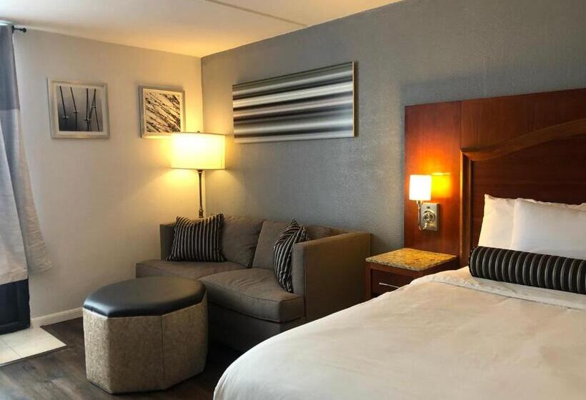 스탠다드 싱글 룸, The Grand Hotel Spindletop