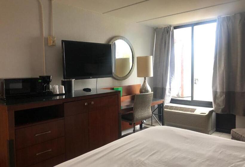 스탠다드 싱글 룸, The Grand Hotel Spindletop