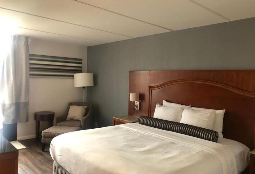 스탠다드 싱글 룸, The Grand Hotel Spindletop