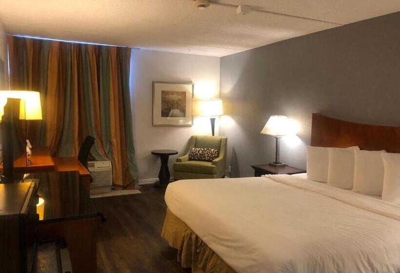 스탠다드 싱글 룸, The Grand Hotel Spindletop