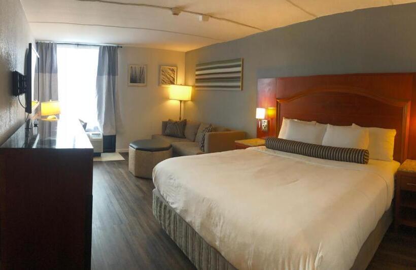 스탠다드 싱글 룸, The Grand Hotel Spindletop