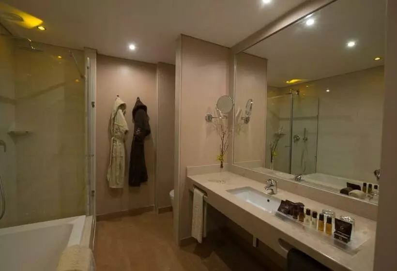 اتاق استاندارد با چشم‌انداز استخر, Vila Gale Collection Palacio Dos Arcos
