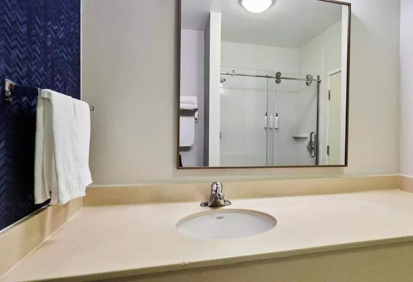 キングサイズベッドのスイートルーム, Fairfield Inn & Suites Burlington