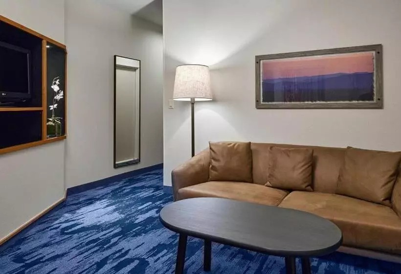キングサイズベッドのスイートルーム, Fairfield Inn & Suites Burlington