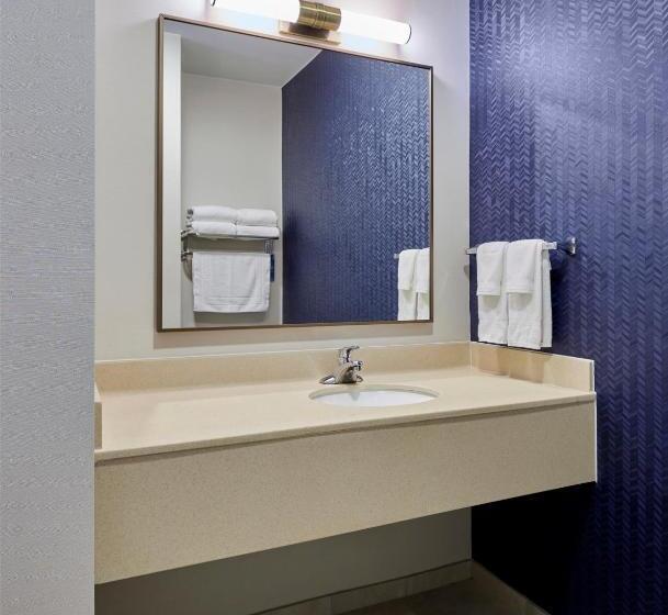 장애인을 위한 스탠다드 룸, Fairfield Inn & Suites Burlington