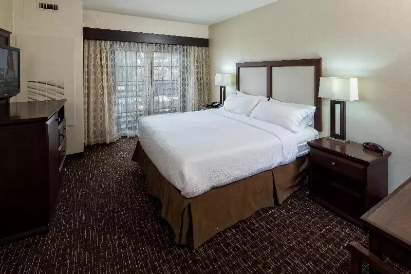 キングサイズベッドのスタンダードルーム, Holiday Inn Resort Deadwood Mountain Grand, An Ihg