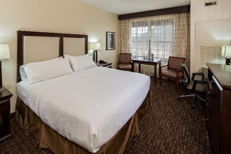 스탠다드 룸 킹사이즈 침대, Holiday Inn Resort Deadwood Mountain Grand, An Ihg