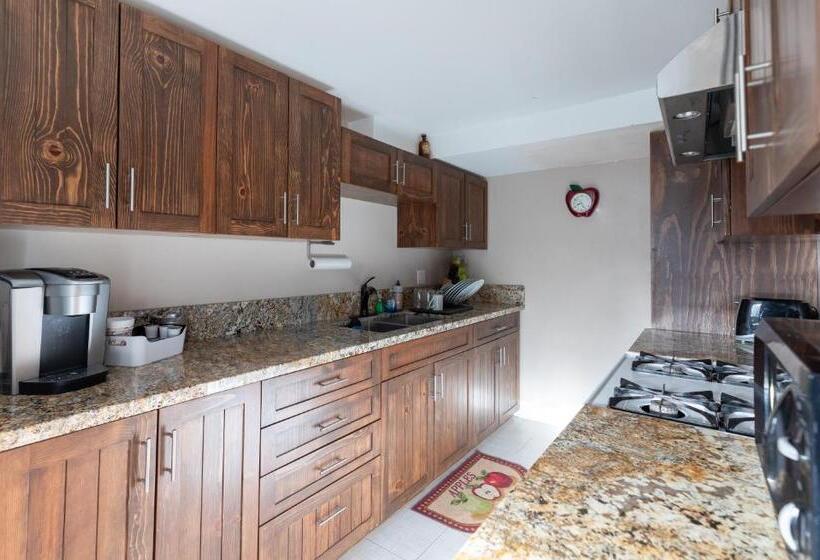 סטודיו דלוקס, Apple Tree Inn