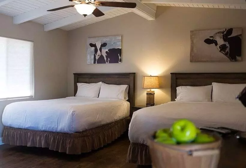 デラックスルーム, Apple Tree Inn