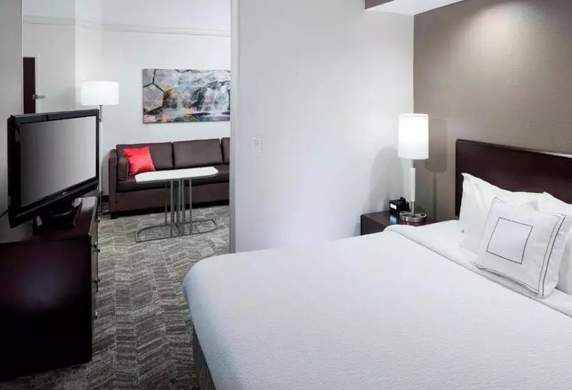 キングサイズベッドのスイートルーム, Springhill Suites Columbus