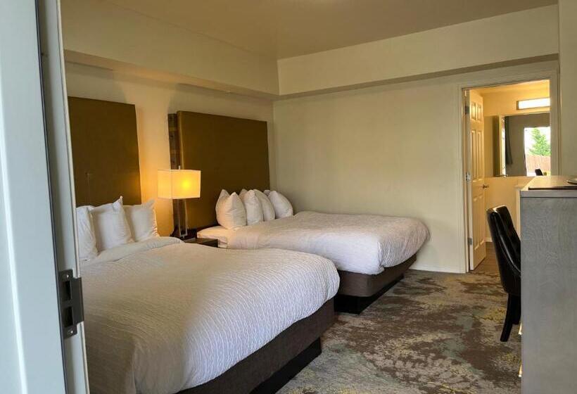 غرفة قياسية, Sunrise Inn