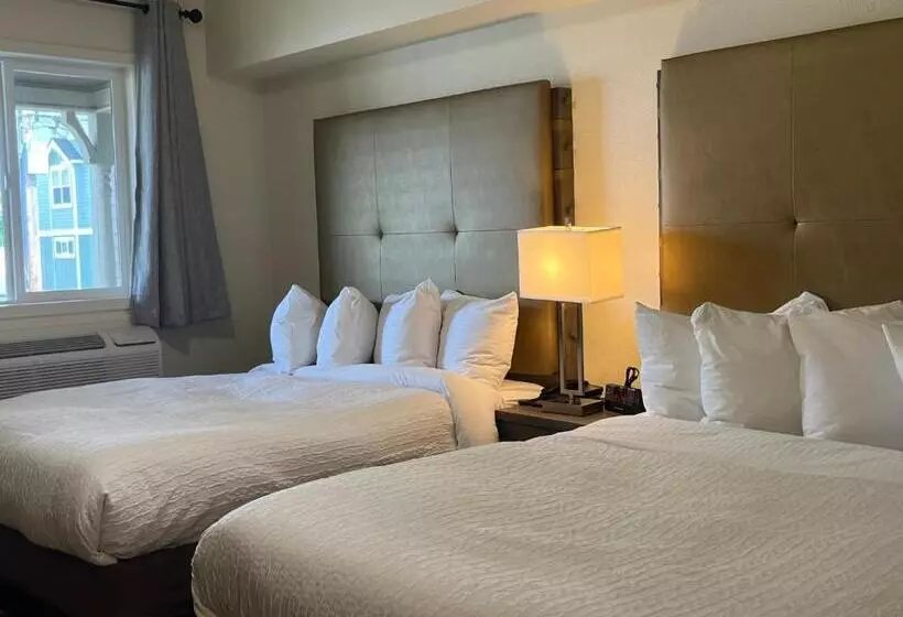 اتاق استاندارد, Sunrise Inn