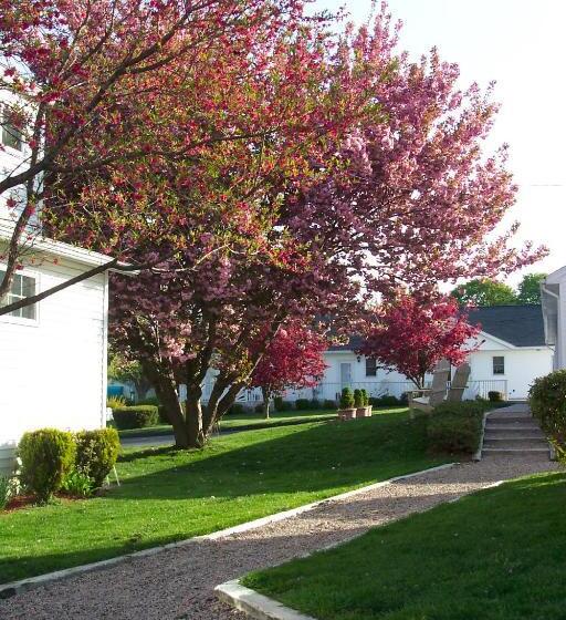 اتاق استاندارد, Taber Inn