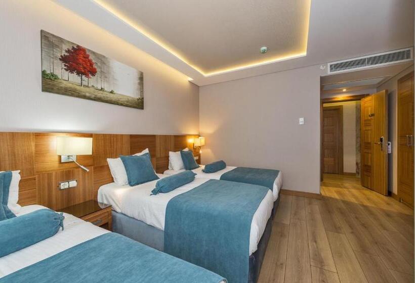 اتاق استاندارد سه نفره, The Meretto Hotel Istanbul Old City