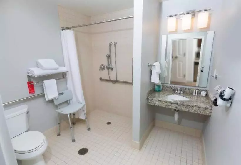 キングサイドベッドのスタンダードワンルーム, Towneplace Suites By Marriott Bowling Green