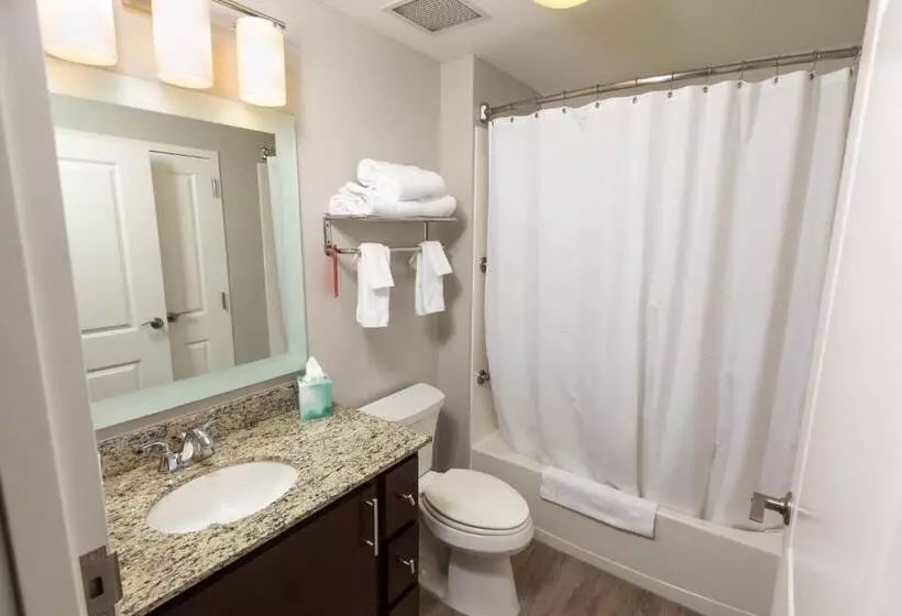 キングサイドベッドのスタンダードワンルーム, Towneplace Suites By Marriott Bowling Green