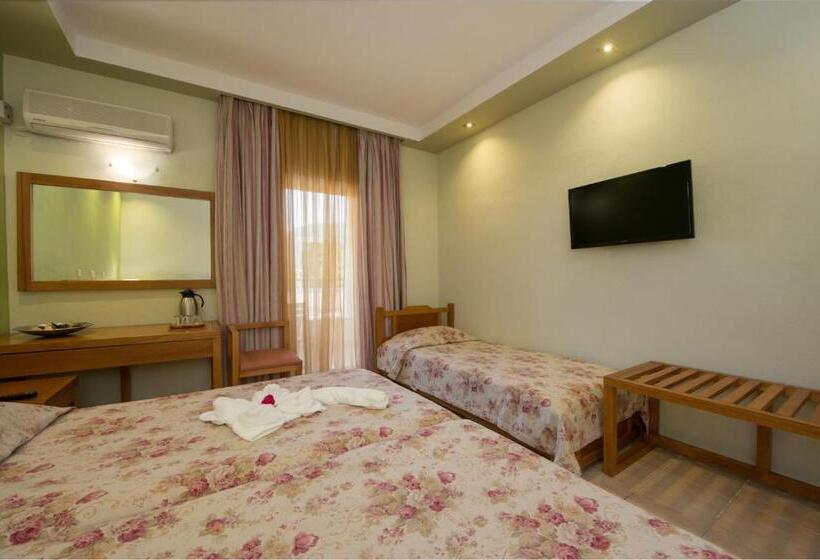 غرفة قياسية ثلاثية, Aethria