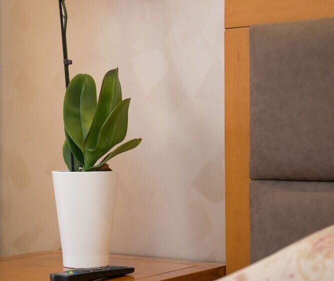 غرفة قياسية فردية, Aethria