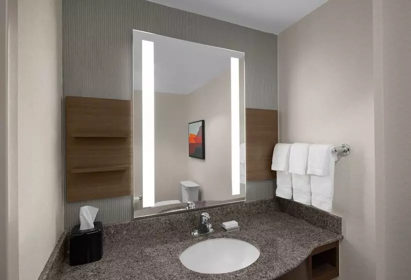 身障者適用スタンダードルーム, Hilton Garden Inn Salt Lake City Airport