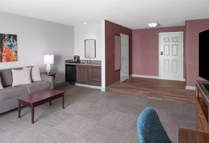 身障者適用スタンダードルーム, Hilton Garden Inn Salt Lake City Airport