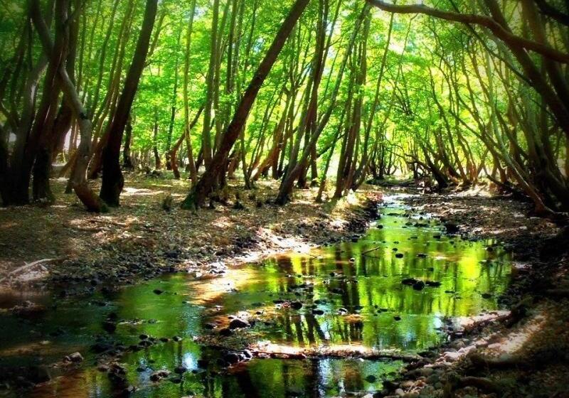 חדר סטנדרט לארבעה, Themisto