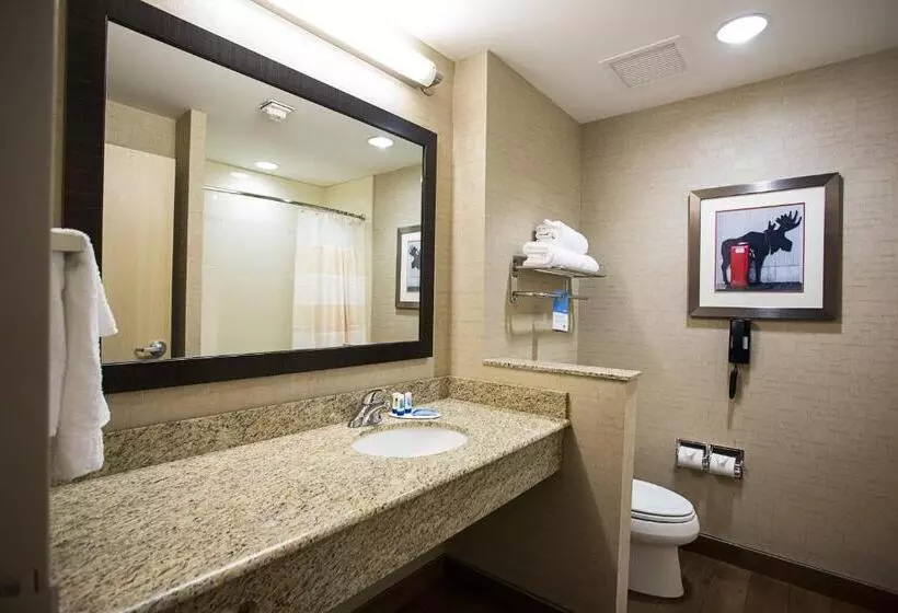 スタンダードルーム, Fairfield Inn & Suites By Marriott Moscow