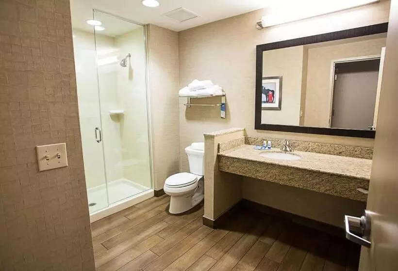 キングサイズベッドのスタンダードルーム, Fairfield Inn & Suites By Marriott Moscow