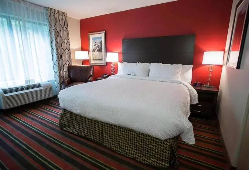 キングサイズベッドのスタンダードルーム, Fairfield Inn & Suites By Marriott Moscow