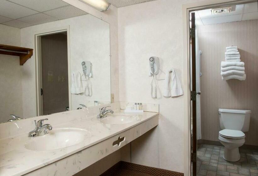 2ダブルベッドのスタンダードルーム, Birdinhand Family Inn