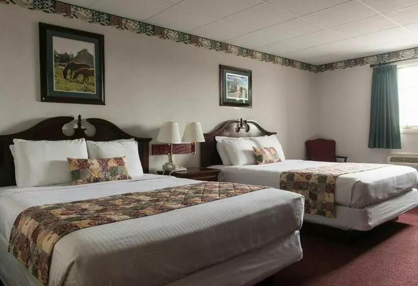 ２ダブルベッドのスタンダードルーム, Birdinhand Family Inn