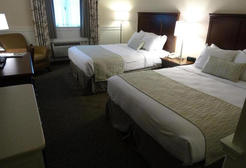 スタンダードルーム, Birdinhand Family Inn