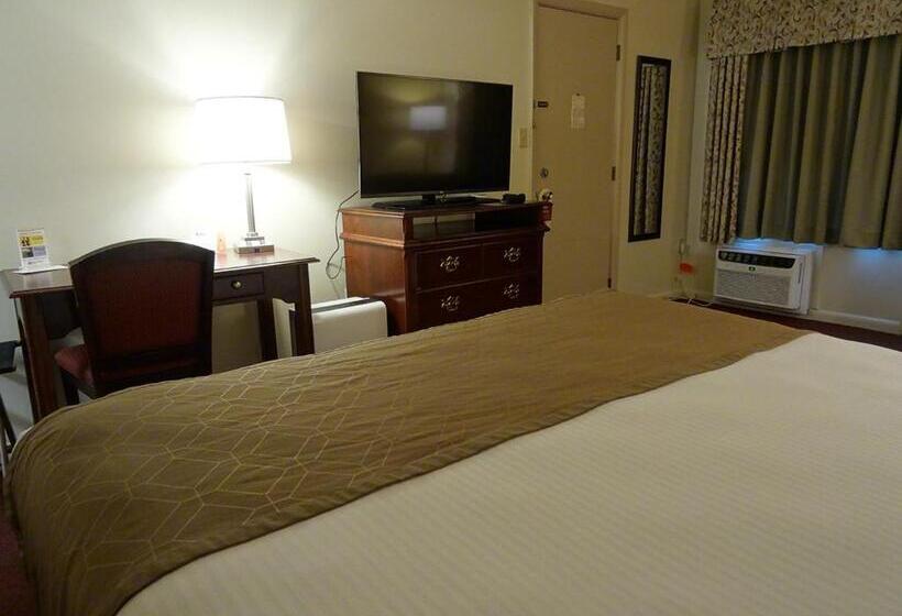 キングサイズベッドのスタンダードルーム, Birdinhand Family Inn